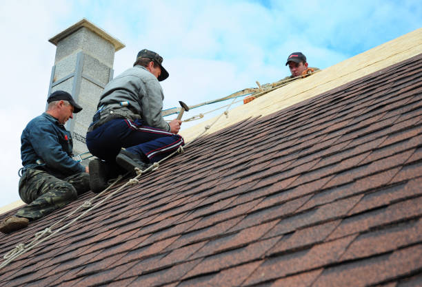 Best Roof Gutter Cleaning  in Moreland Hills, OH